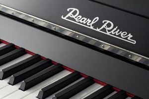 Pearl River Group - путь к успеху фото