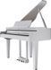 Цифровой рояль Roland GP6 RO-2918 фото 3