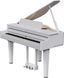 Цифровой рояль Roland GP6 RO-2918 фото 2