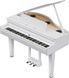 Цифровой рояль Roland GP6 RO-2918 фото 1