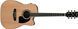 IBANEZ PF15ECE NT Гітара електроакустична IB-0026 фото