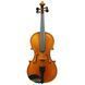 Скрипка Gliga Violin Gliga І GL-0256 фото 1