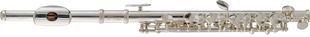 Флейта Stagg WS-PF211S ST-0529 фото