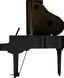 Цифровий рояль Roland GP9M RO-2921 фото 17