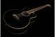 IBANEZ AEB8E BLACK Бас-гитара акустическая IB-0048 фото 5