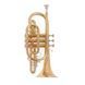 Корнет Odyssey OCR200 OD-0003 фото 4
