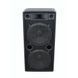 Акустическая система Omnitronic DX-2522 OM-0004 фото 1