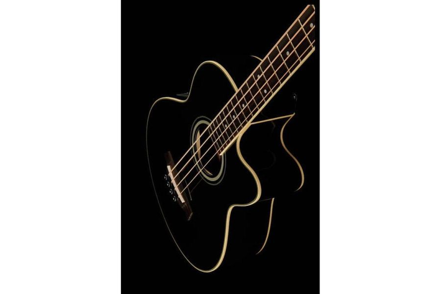 IBANEZ AEB8E BLACK Бас-гитара акустическая IB-0048 фото