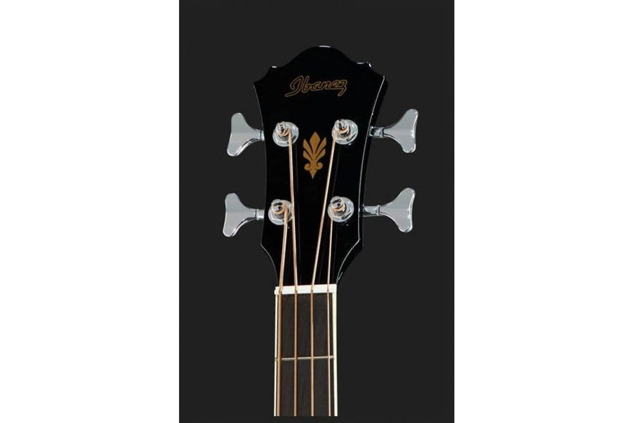 IBANEZ AEB8E BLACK Бас-гитара акустическая IB-0048 фото