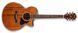 IBANEZ AE245 NT Гитара электроакустическая IB-0047 фото 5