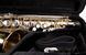 Gator GL-ALTOSAX-R23 GC-1145 фото 5
