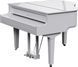 Цифровий рояль Roland GP9M RO-2922 фото 2