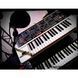 Синтезатор Roland GAIA SH-01 RO-1474 фото 8