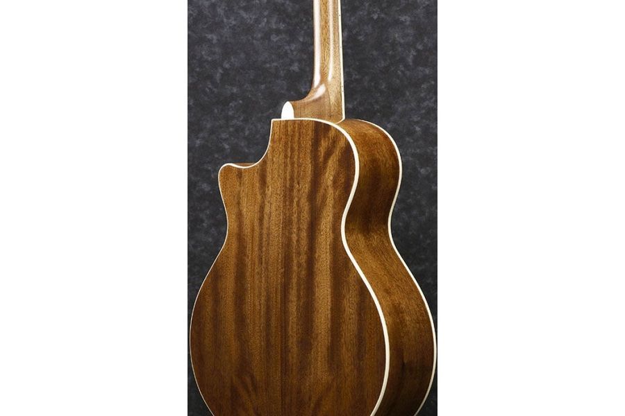 IBANEZ AE245 NT Гитара электроакустическая IB-0047 фото