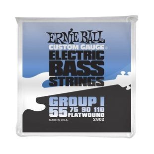 Струни для бас-гітари 55-110 Ernie Ball P02802 EB-0099 фото
