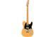FENDER PLAYER PLUS NASHVILLE TELECASTER MN BTB Электрогитара FE-0493 фото