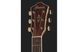 IBANEZ AE205JR-OPN Гітара електроакустична IB-0046 фото 5