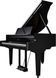 Цифровий рояль Roland GP9 RO-2919 фото 1