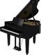 Цифровий рояль Roland GP9 RO-2919 фото 2
