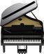 Цифровий рояль Roland GP9 RO-2919 фото 3