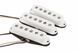 FENDER CUSTOM SHOP '54 STRATPICKUP SET Набір звукознімачів FE-0286 фото