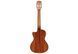 Укулеле Alvarez AU66TCESHB AV-0258 фото 5