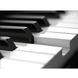 Синтезатор Roland Juno-DS88 RO-2031 фото 6