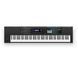 Синтезатор Roland Juno-DS88 RO-2031 фото 1