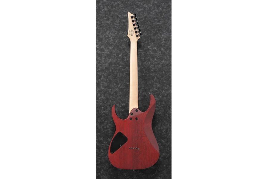 IBANEZ RG421PB CHF Електрогітара IB-0189 фото