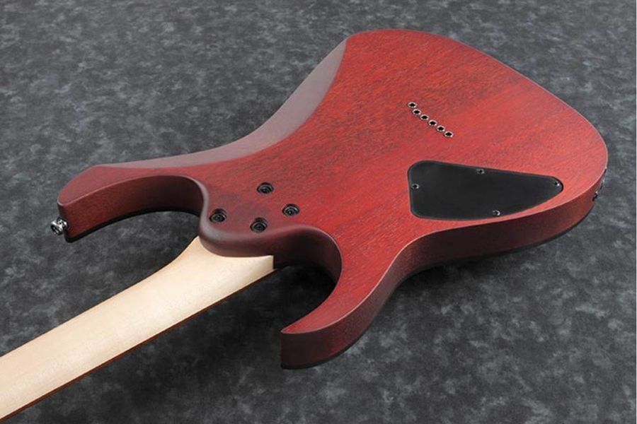 IBANEZ RG421PB CHF Електрогітара IB-0189 фото