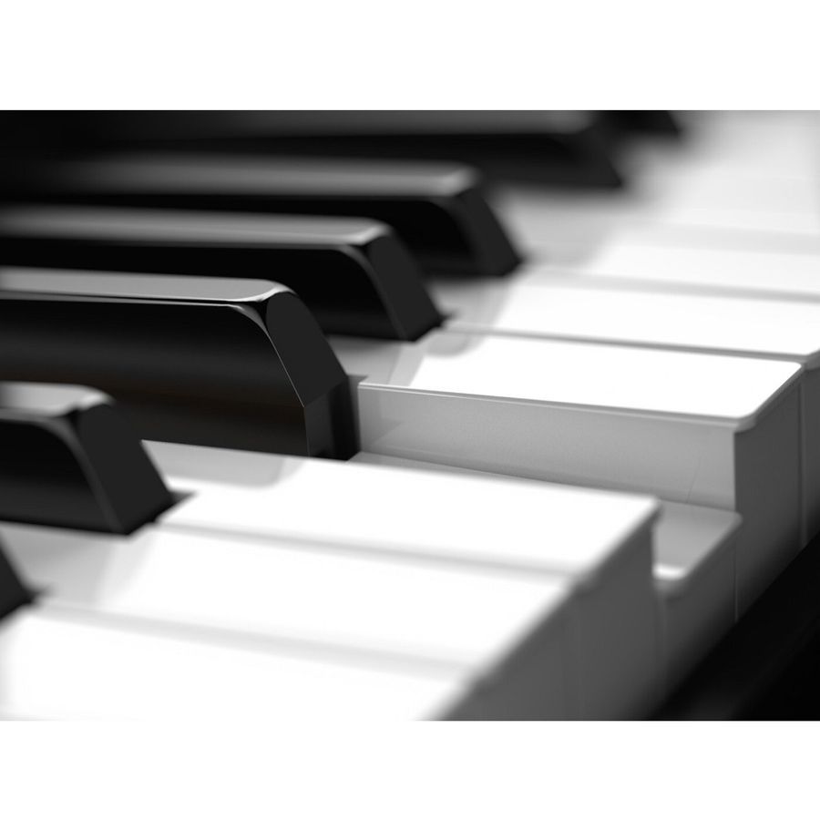 Синтезатор Roland Juno-DS88 RO-2031 фото