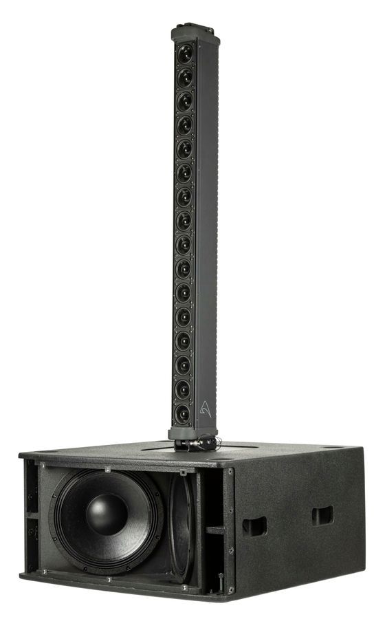 Активный сабвуфер с микропроцессорным управлением Proel Axiom SW212A PR-6904 фото