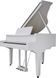 Цифровий рояль Roland GP9 RO-2920 фото 1