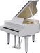 Цифровий рояль Roland GP9 RO-2920 фото 2