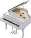 Цифровий рояль Roland GP9 RO-2920 фото 3