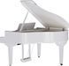 Цифровий рояль Roland GP9 RO-2920 фото 5