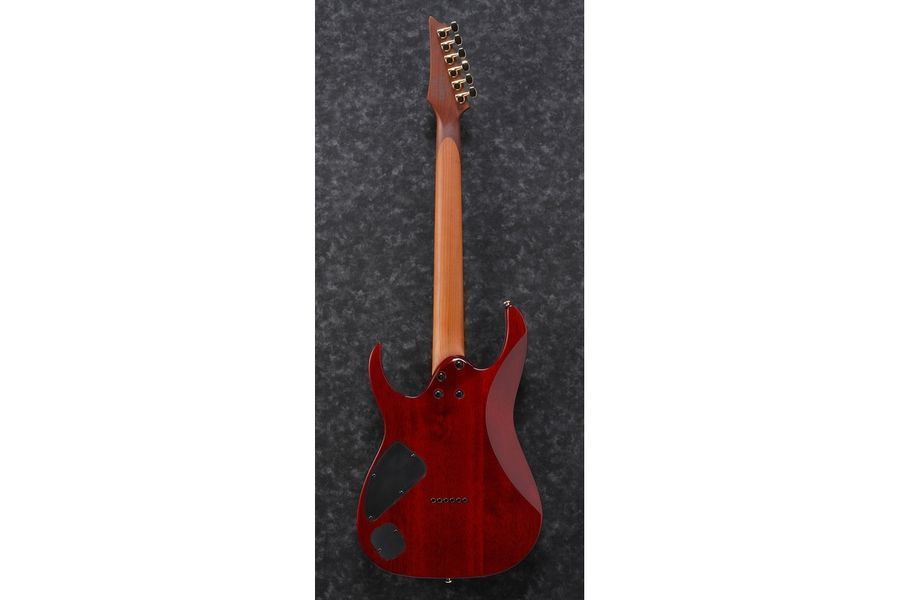 IBANEZ RG421HPFM BRG Електрогітара IB-0188 фото