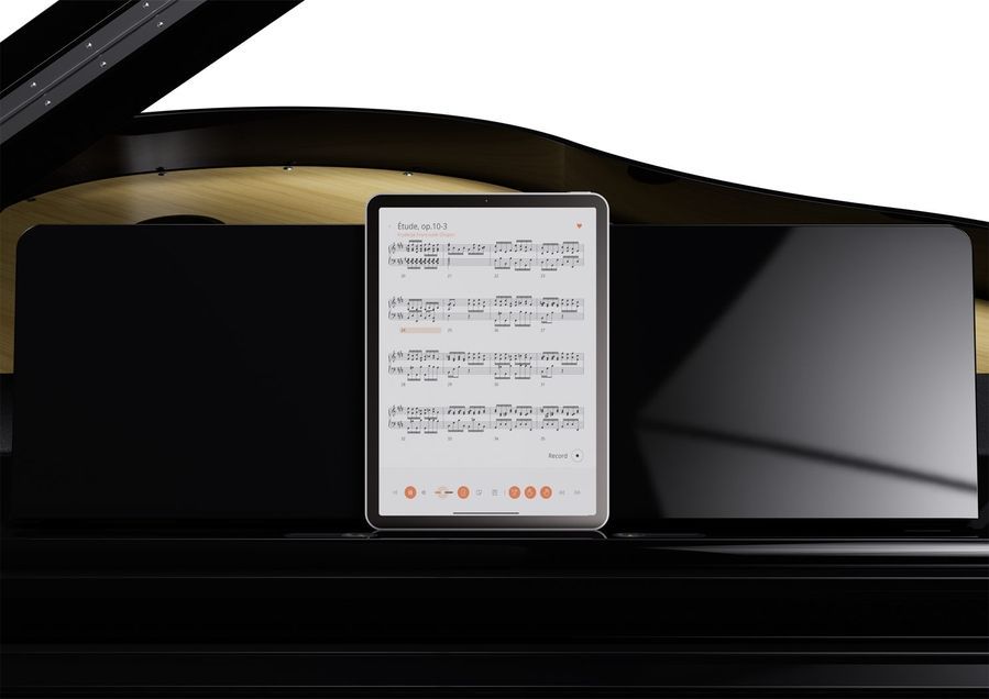 Цифровой рояль Roland GP9PW RO-2920 фото