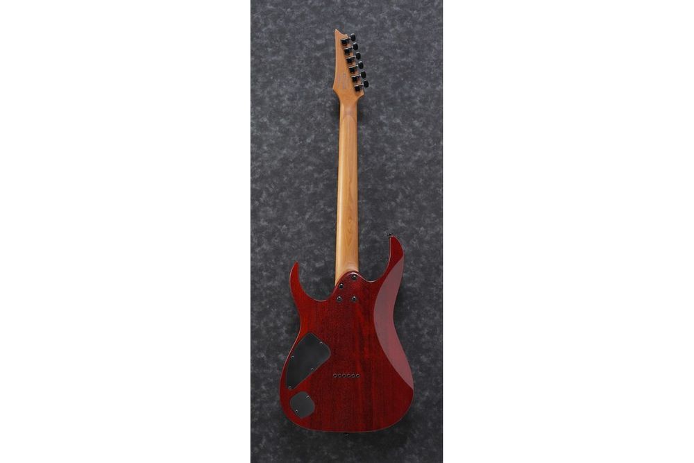 IBANEZ RG421HPAM ABL Электрогитара IB-0187 фото