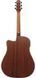 IBANEZ AAD50CE-LG Гітара електроакустична IB-0043 фото