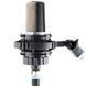 Студійний мікрофон AKG C214 AK-0032 фото 4