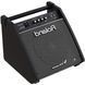 Персональний монітор Roland PM100 RO-2485 фото 3