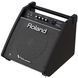 Персональний монітор Roland PM100 RO-2485 фото 2