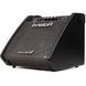 Персональний монітор Roland PM100 RO-2485 фото 5