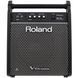 Персональний монітор Roland PM100 RO-2485 фото 1