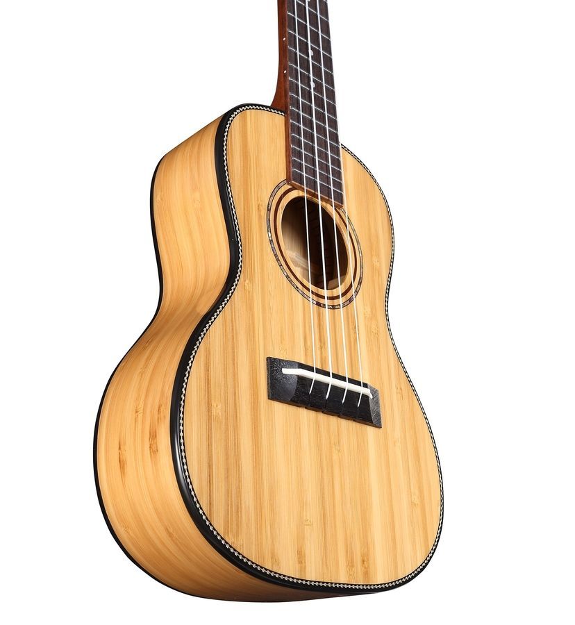 Укулеле Alvarez MU55C AV-0259 фото