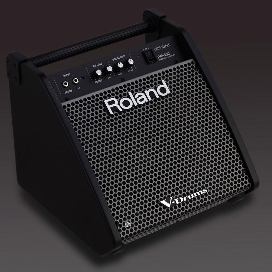 Персональний монітор Roland PM100 RO-2485 фото