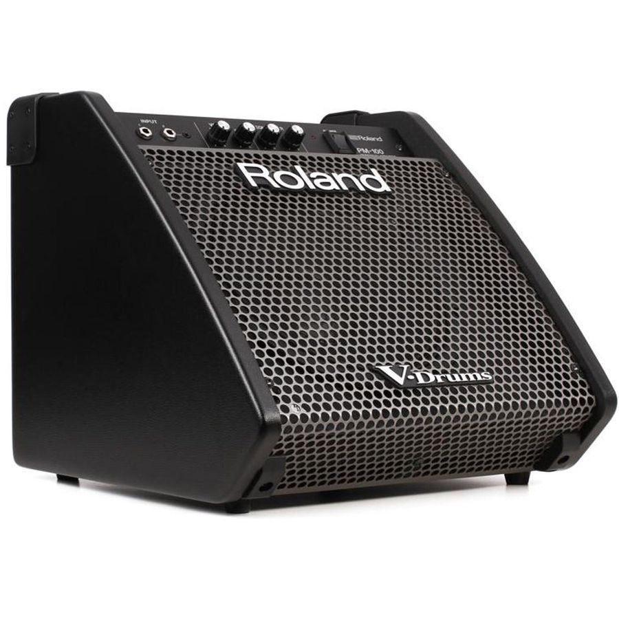 Персональний монітор Roland PM100 RO-2485 фото