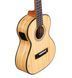 Укулеле Alvarez MU55TE AV-0262 фото 3