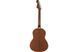 FENDER SONORAN MINI MAHOGANY WN Гитара электроакустическая FE-0570 фото 2